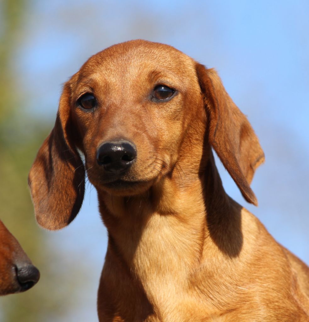 Publication : de l'air salin 