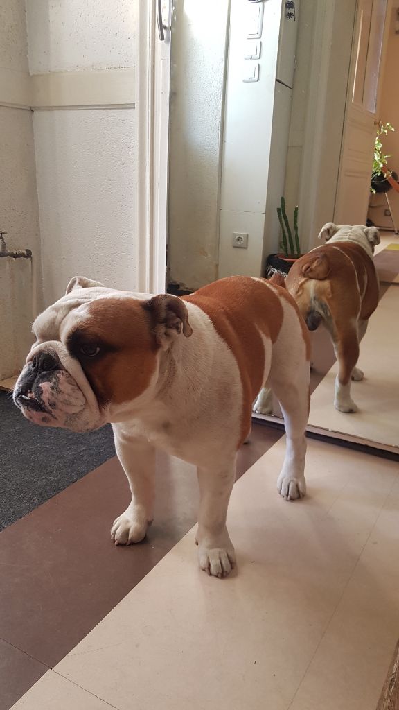 Publication : (Sans Affixe) Auteur : Floriane RICHARD