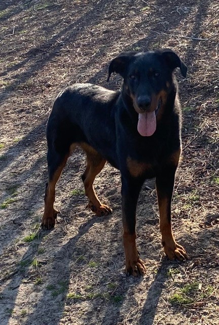 Nelly Des Ergots D'Allegria