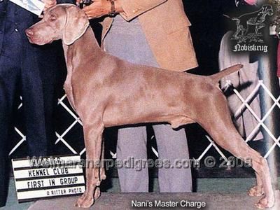 TR. CH. Nani's Marster charge