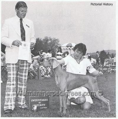 TR. CH. Colsidex Ingenue