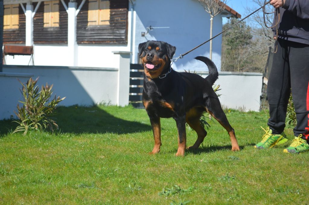 Loca Du Temple D'Adranos