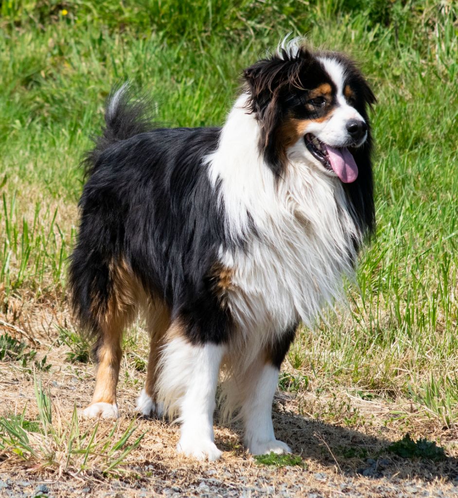 Publication : de L'Igloo des Sables