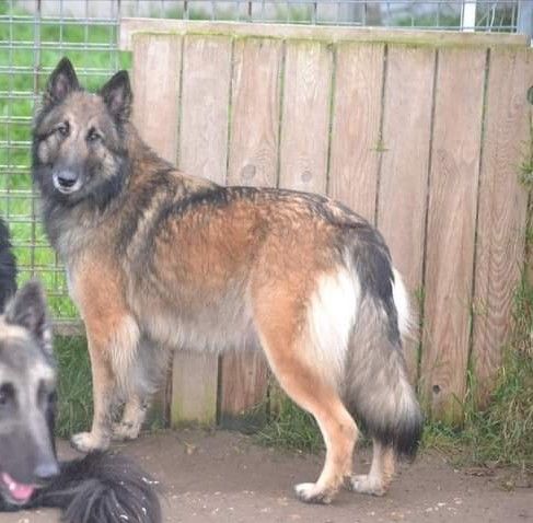 Publication : du Domaine de Vauroux Auteur : EM