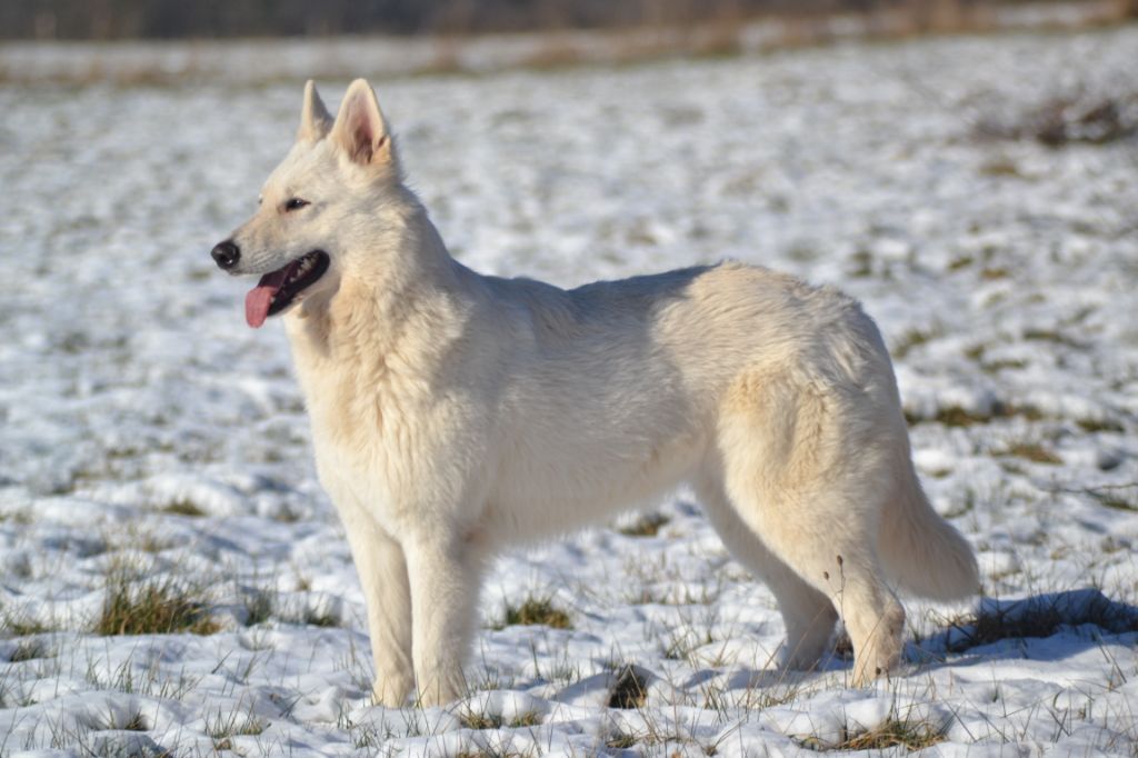 Publication : (Sans Affixe)