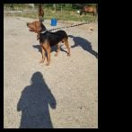 Publication : (Sans Affixe) Auteur : moi meme