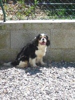 Loxy du Moulin de la Terrasse