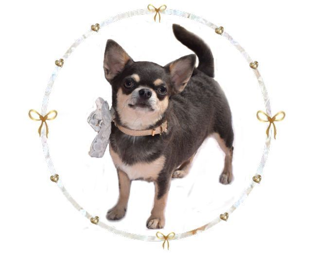 Publication : O'sborg Of Love