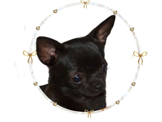 O'sborg Of Love Nymia