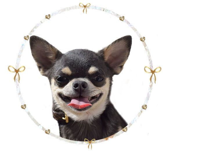 O'sborg Of Love Nacre