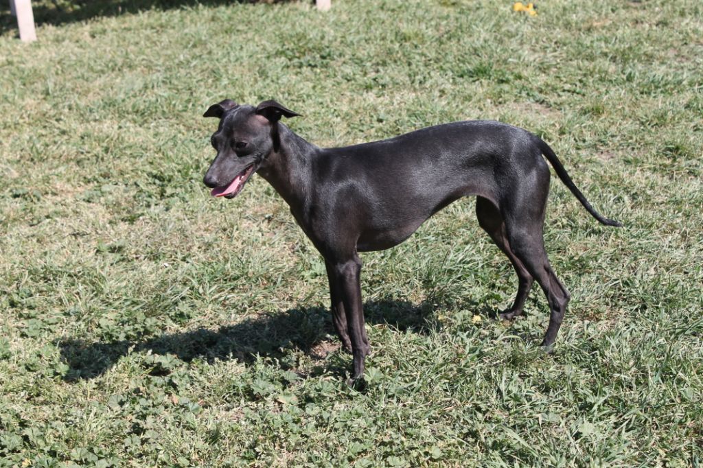 Publication : Du Val De Clavernau 