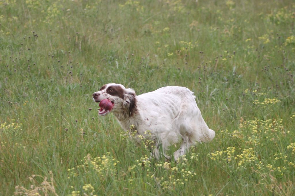 Publication : des sagnes des mille sources 