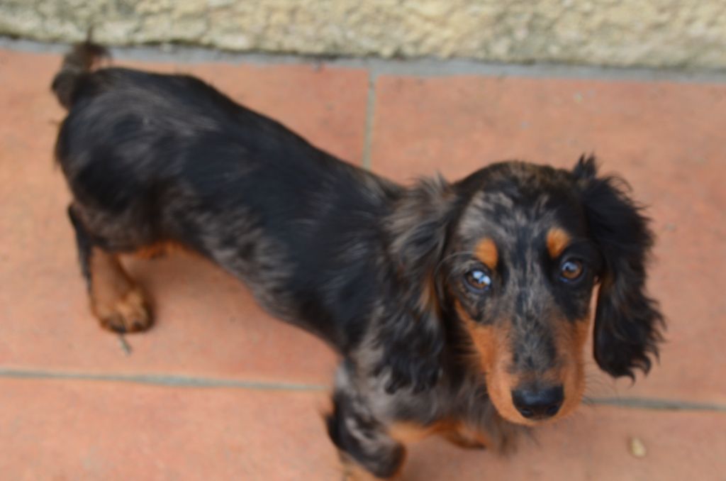 Publication : Du Clos Des Bords De Mer Auteur : pierrette quesne