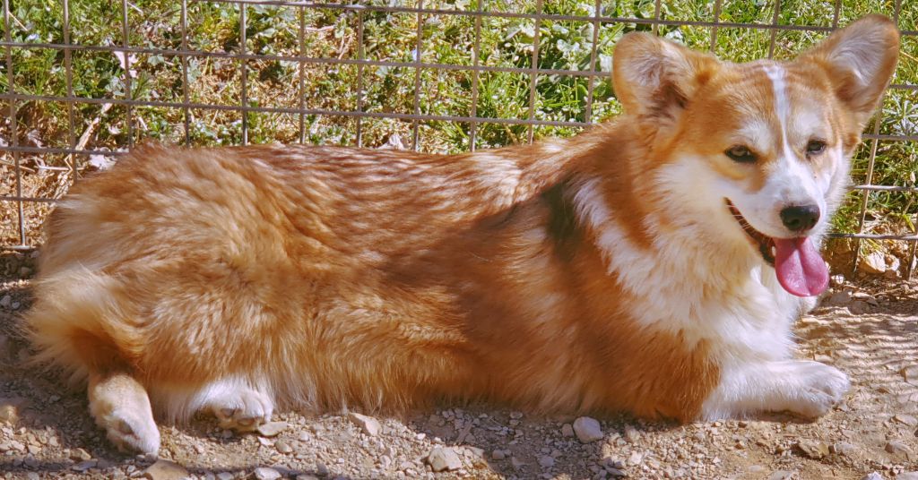 Naomi in red funny beauty