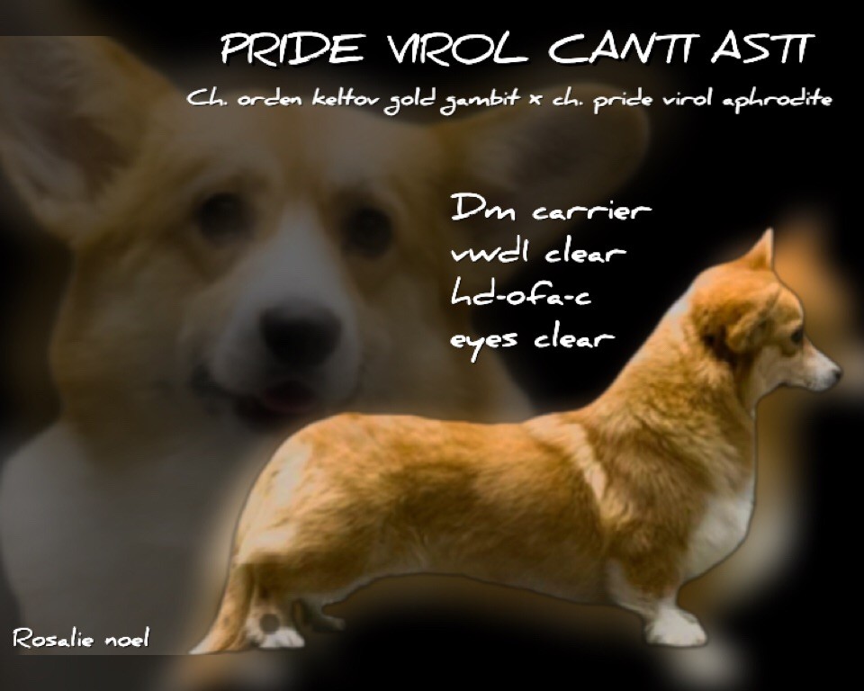 Publication : des Prestiges d'Aranjuez Auteur : Rosalie NOEL