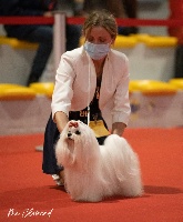 CH. credo experto Star trek