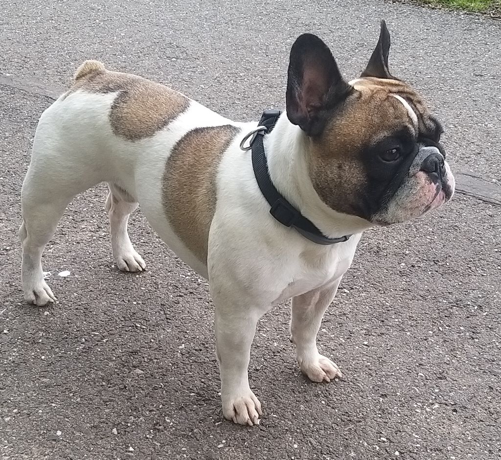 Publication : (Sans Affixe)