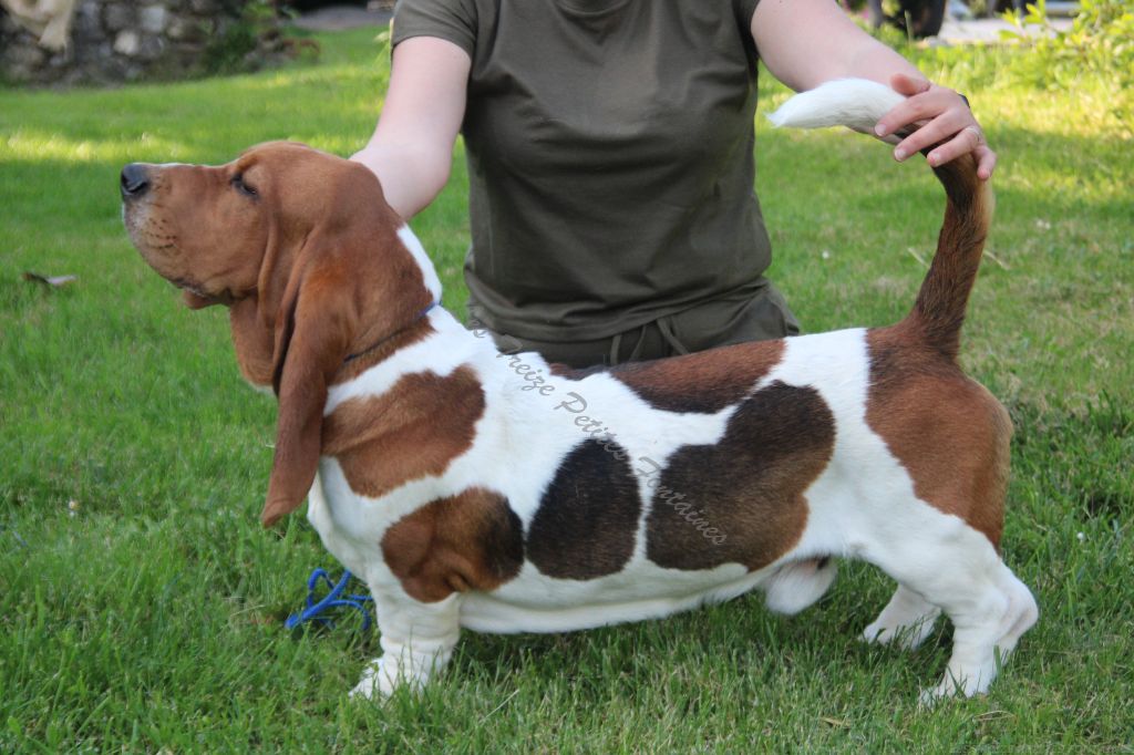 Publication : Des Treize Petites Fontaines