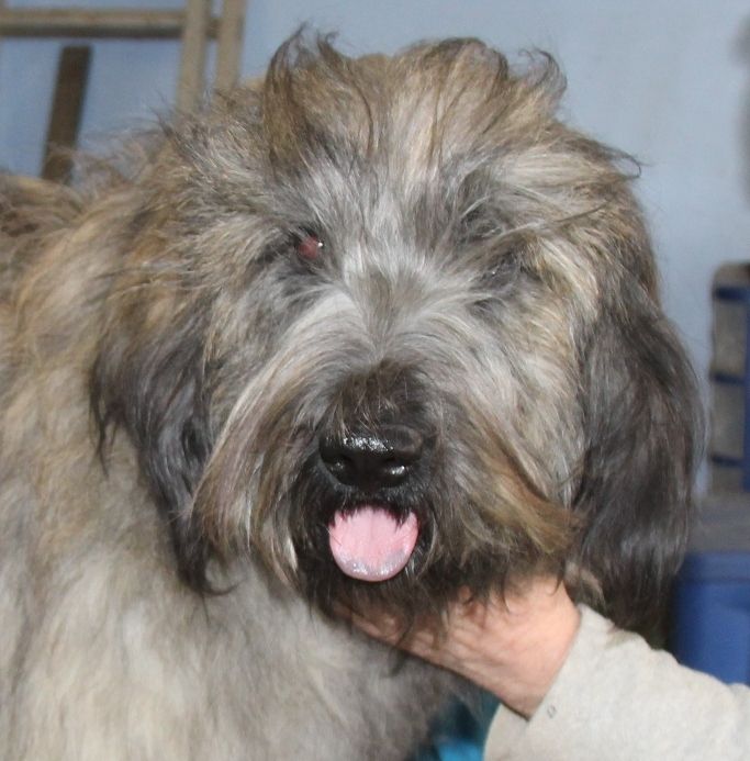  Auteur : Sylvie Sylvie Renaud