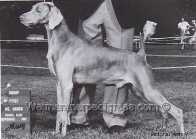 TR. CH. reiteralm's Winterun kurbis v