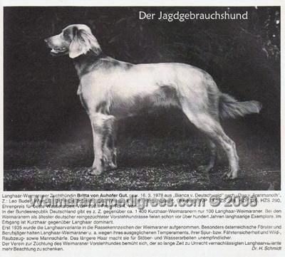 Britta vom auhofer gut