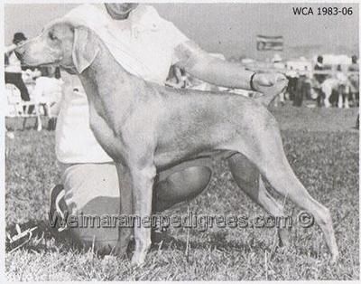 TR. CH. Arimarlisas reiterhalm Rio fonte saudade