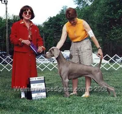 TR. CH. Nani's Jagmar sweet dividends