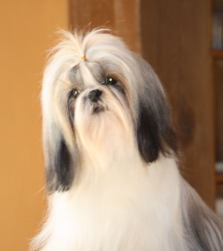 Publication : du Moulin de Bonneval Auteur : Bernard Laurence