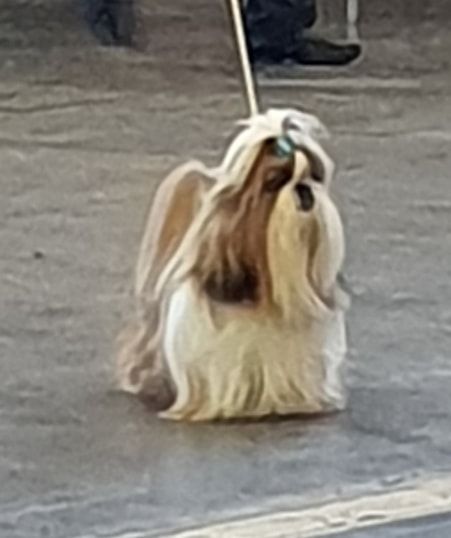 Publication : des Pommiers du Pays d'Othe 