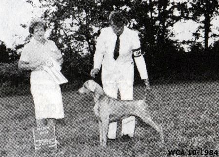 TR. CH. norman's frosty Roy colleen