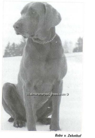 Bube (1964) Vom zehnthof