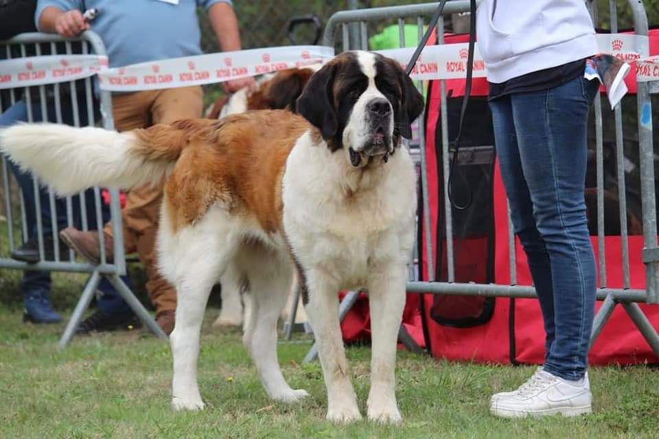 Publication : Des Iles Aux Falaises Auteur : Lucie