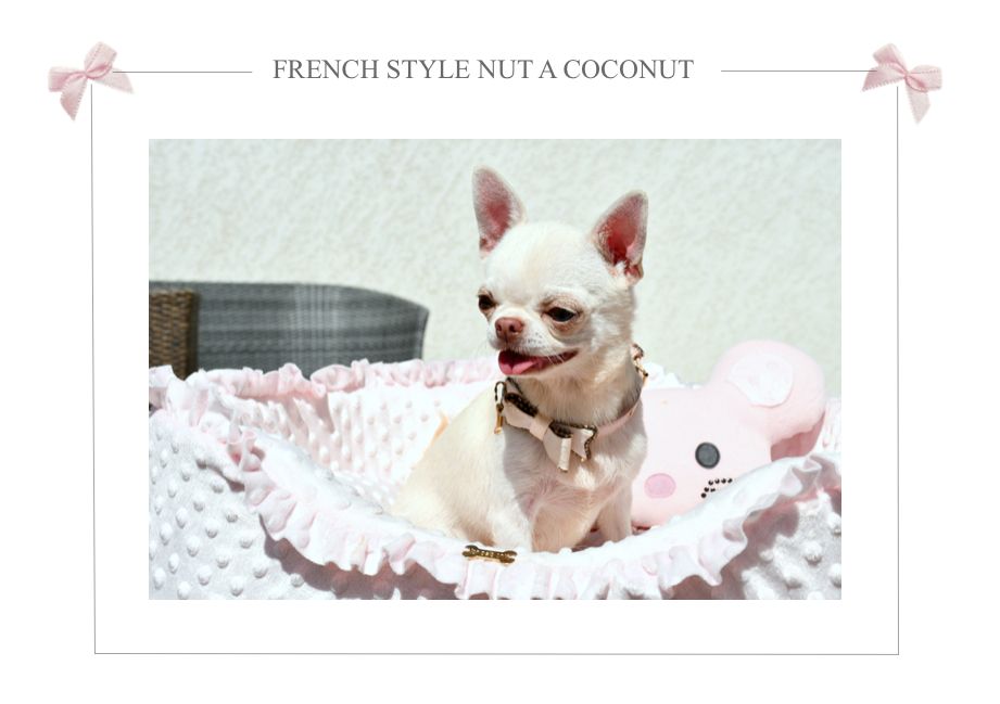 French Style Nut a coconut