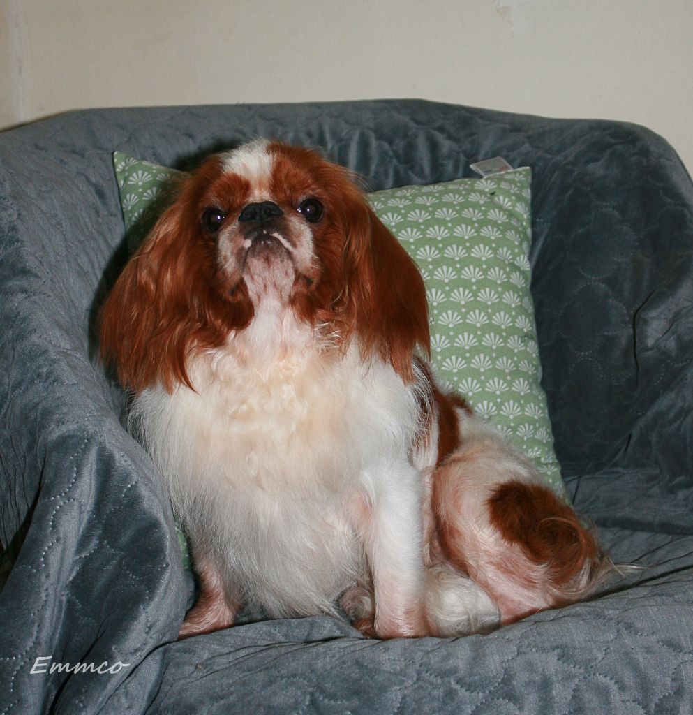 Publication : du Domaine des Trois Clefs Auteur : emco