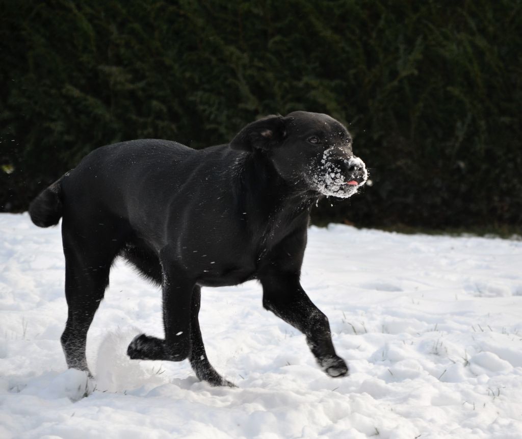 Publication : Ki Kalonek 