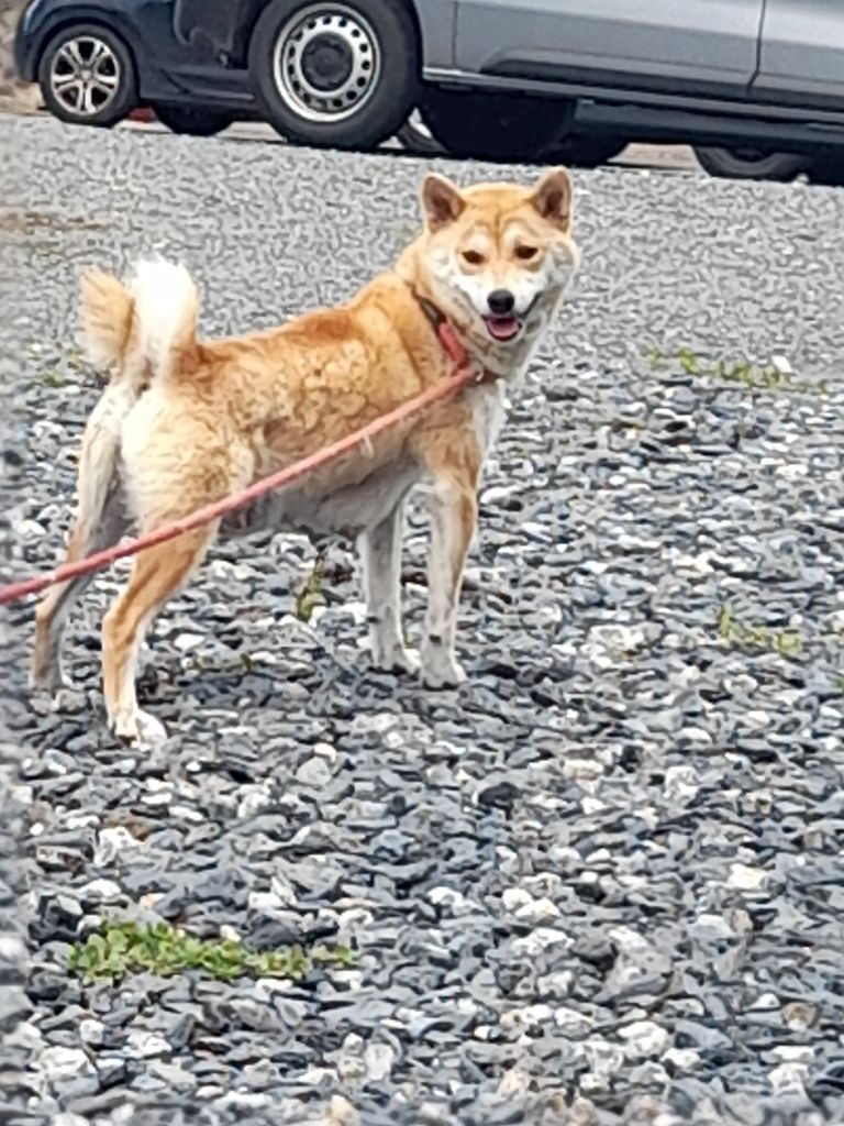 Publication : des bois de la bro