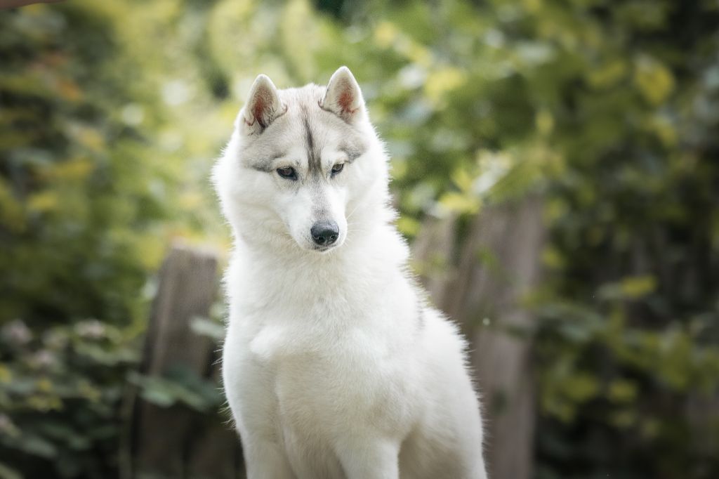 Publication : Infiniseas Auteur : Coline Derin