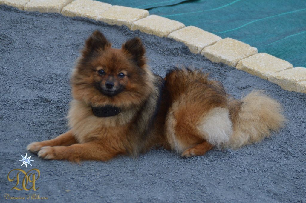 Publication : du Moulin de la Terrasse 