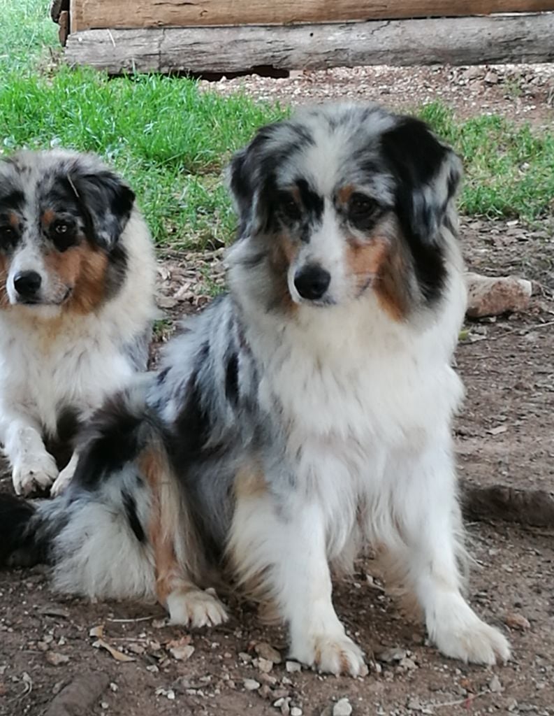 Publication : Isiwun