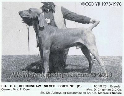 TR. CH. Fortune heronshaw silver