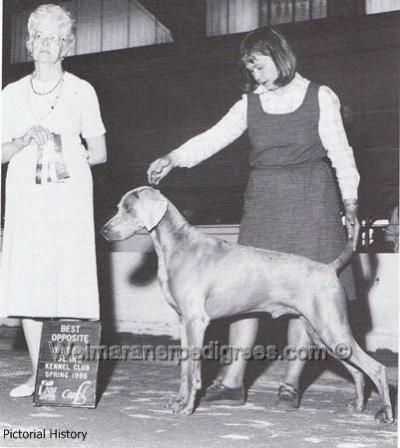 TR. CH. Pic-a-star's atilla v reiteralm