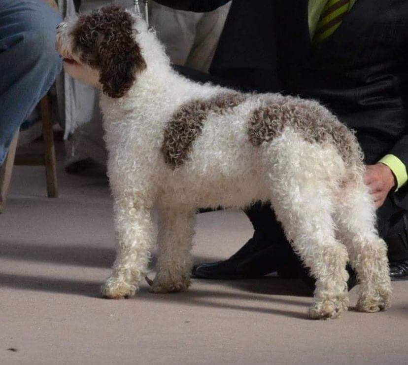 Bakea de la senda del eo