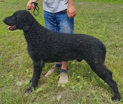 Publication : caladans 