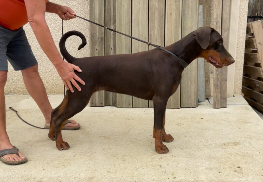 Publication : Du Lac De Montbel Auteur : Vanderkelen P