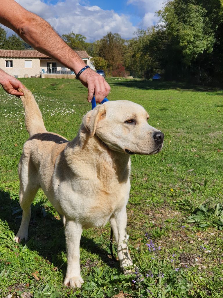Noa du clos du barrian