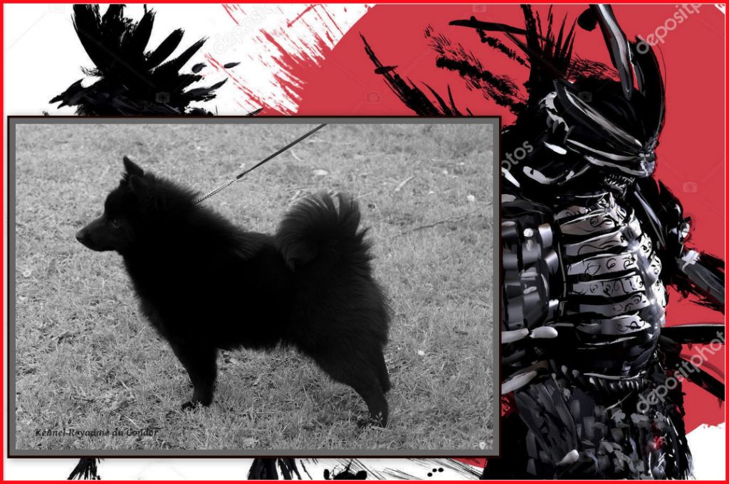 Publication : du royaume du Gondor