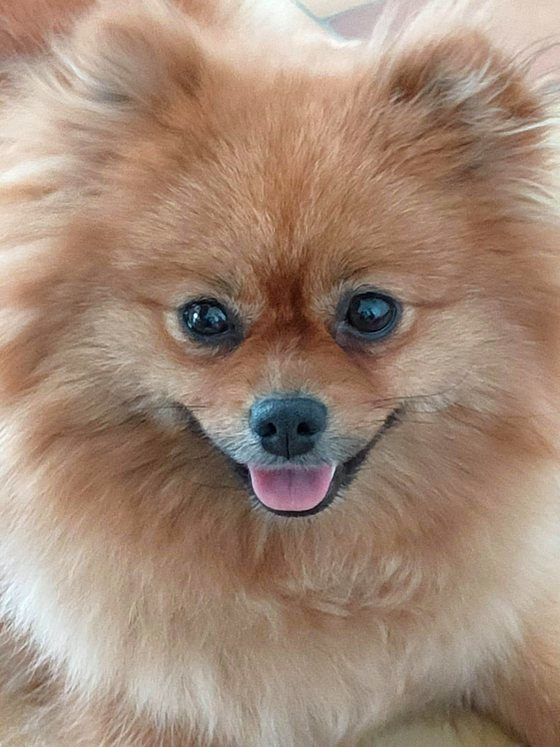 Petite maguy du clan des Boulapat