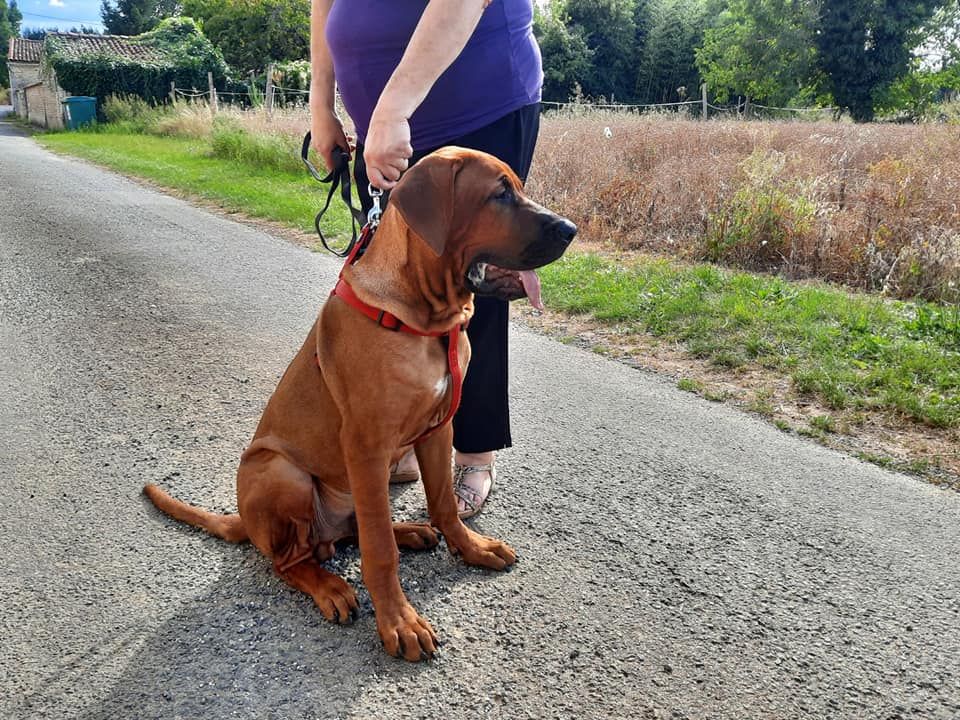 Publication : de la Tsaparang Valley 