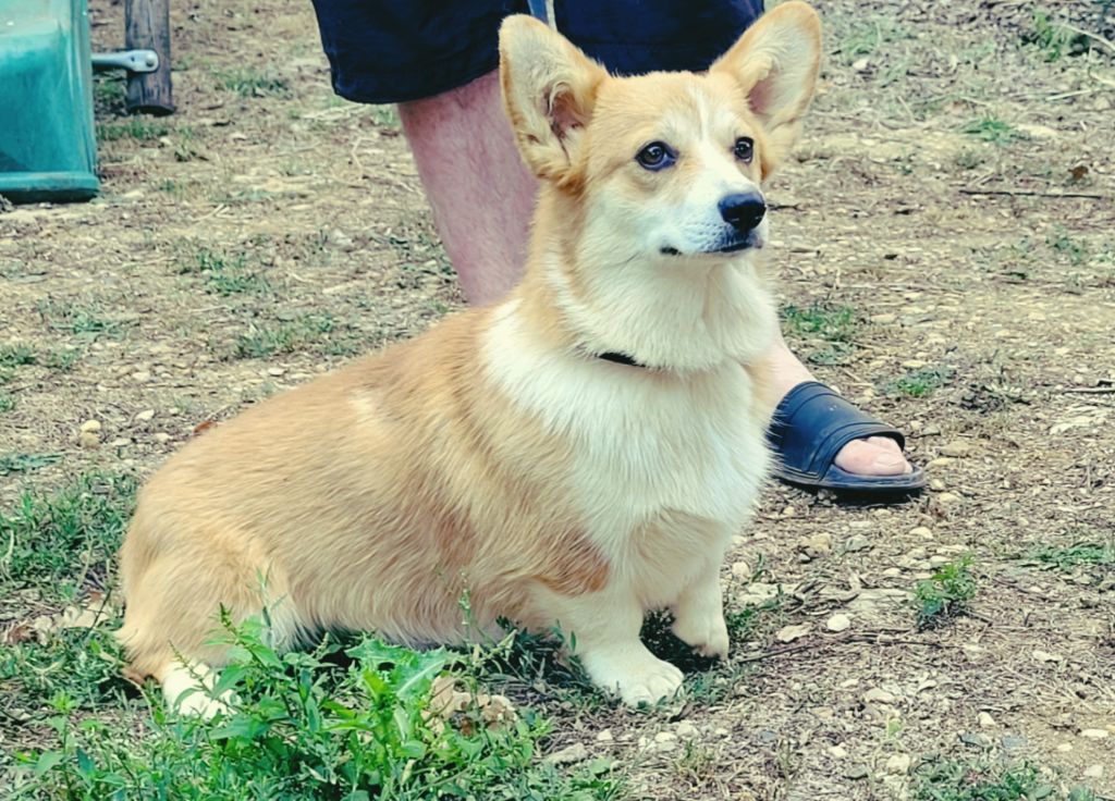 Publication : de la vallée de l'empereur