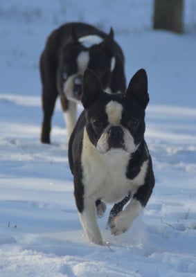 Rimmel (Sans Affixe)